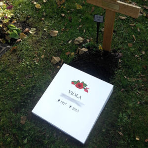 picture of installed peaceyard horizontal gravestone, model flora in glacier white color
