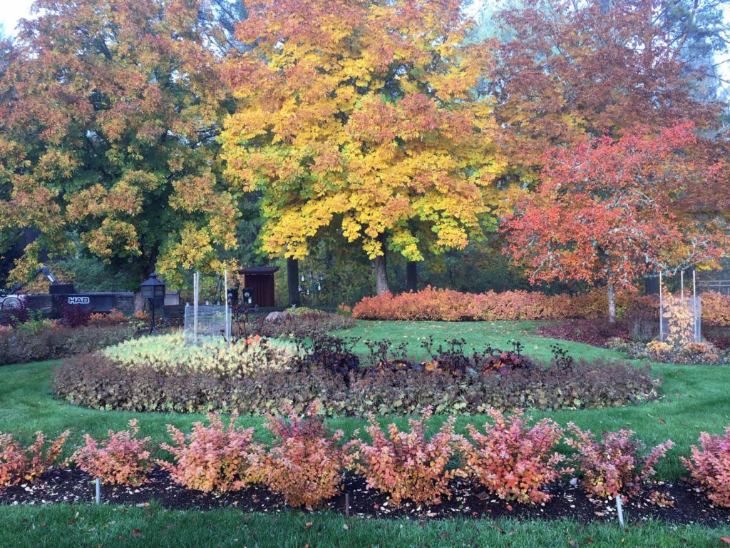 Alsters Kyrkogård i Karlstad - Översikt