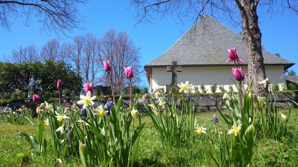 Älvsbacka Kyrkogård i Karlstad - Översikt