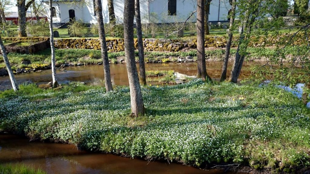 Väse Kyrkogård i Karlstad - Översikt