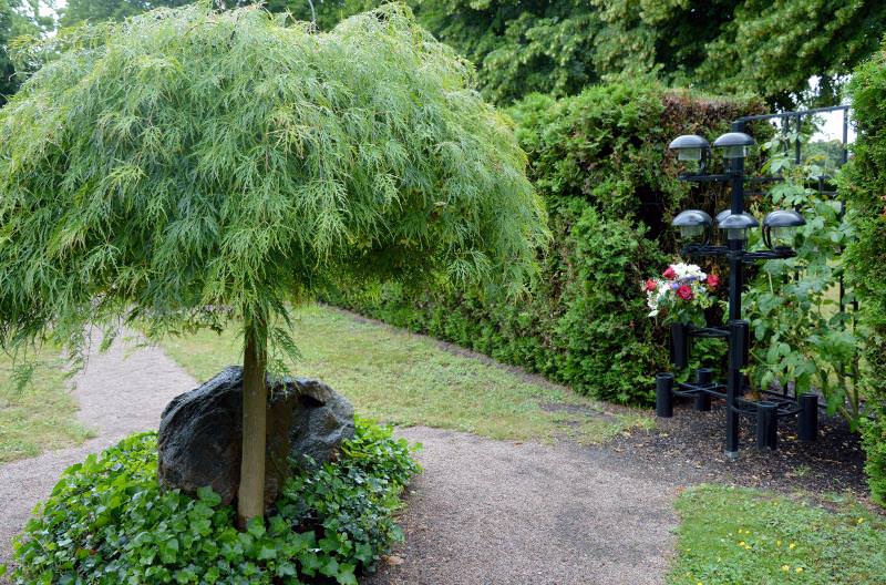 Västra Klagtorp Kyrkogård i Malmö - Minneslund