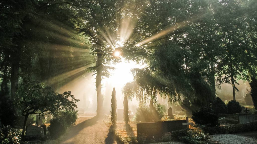 Norra Kyrkogården i Lund - Översikt