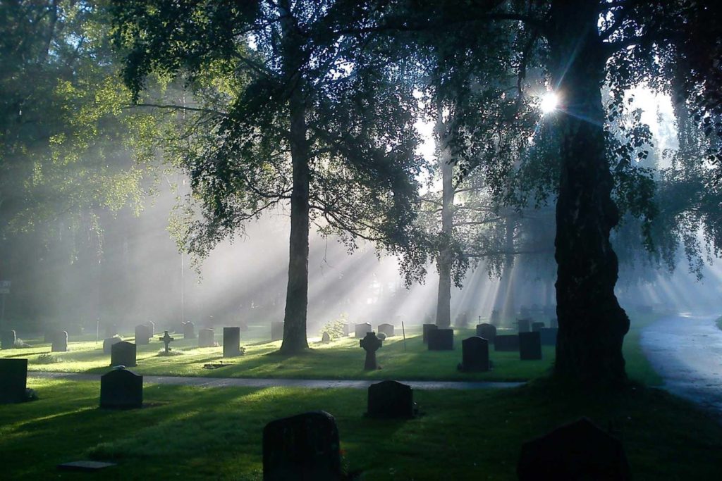 S:t Botvids Begravningsplats i Stockholm - Översikt