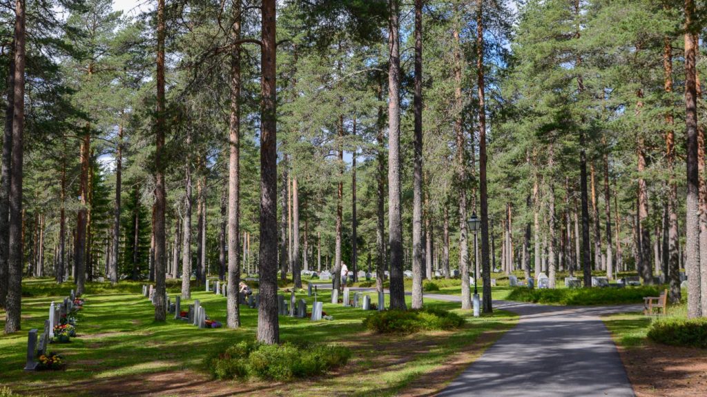 Röbäcks kyrkogård i Umeå - Översikt