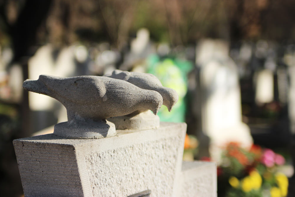 Två cementfåglar på en gravsten
